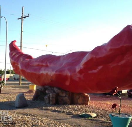 Big Chile Inn & Suites لاس كروسيس، نيومكسيكو المظهر الخارجي الصورة